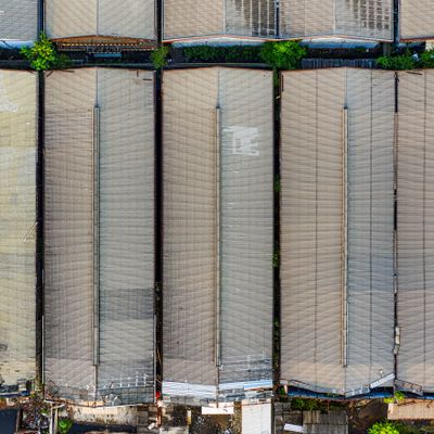 Warehouse and vendor operations